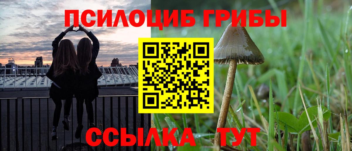 Галлюциногенные грибы Psilocybine cubensis Тобольск